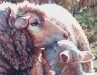 Nuzzling c2009