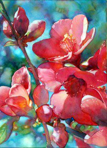Quince Blossoms 15 x 22 2009