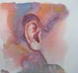 ear study 3