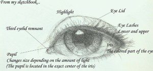 Eye diagram